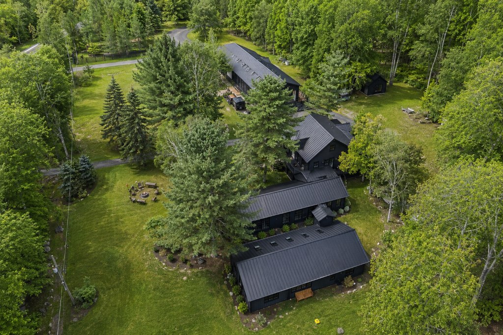 Lush green forest around the lodge in summer